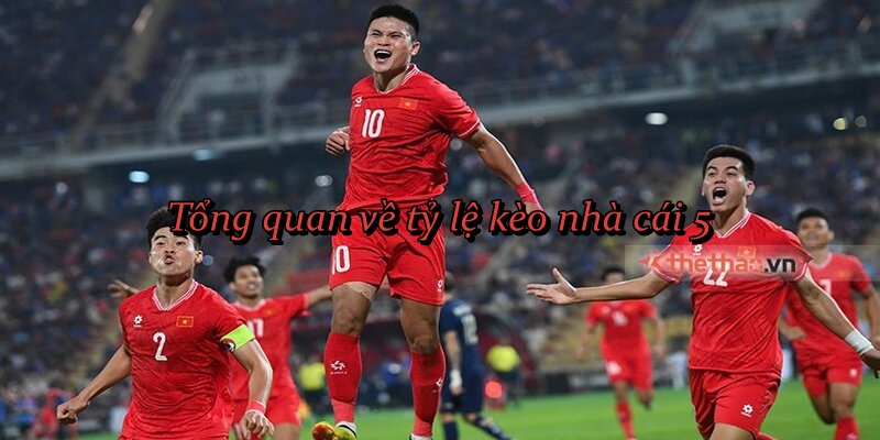Tổng quan về tỷ lệ kèo nhà cái 5